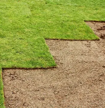 zone intervention