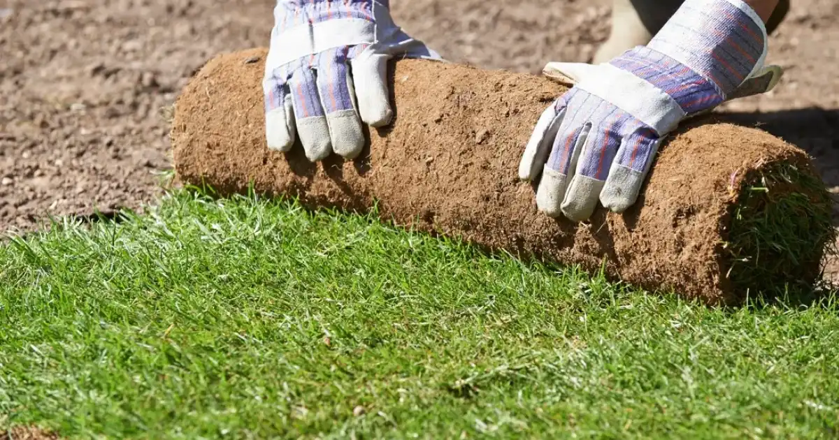 Débroussaillage et entretien des espaces verts à Brécé