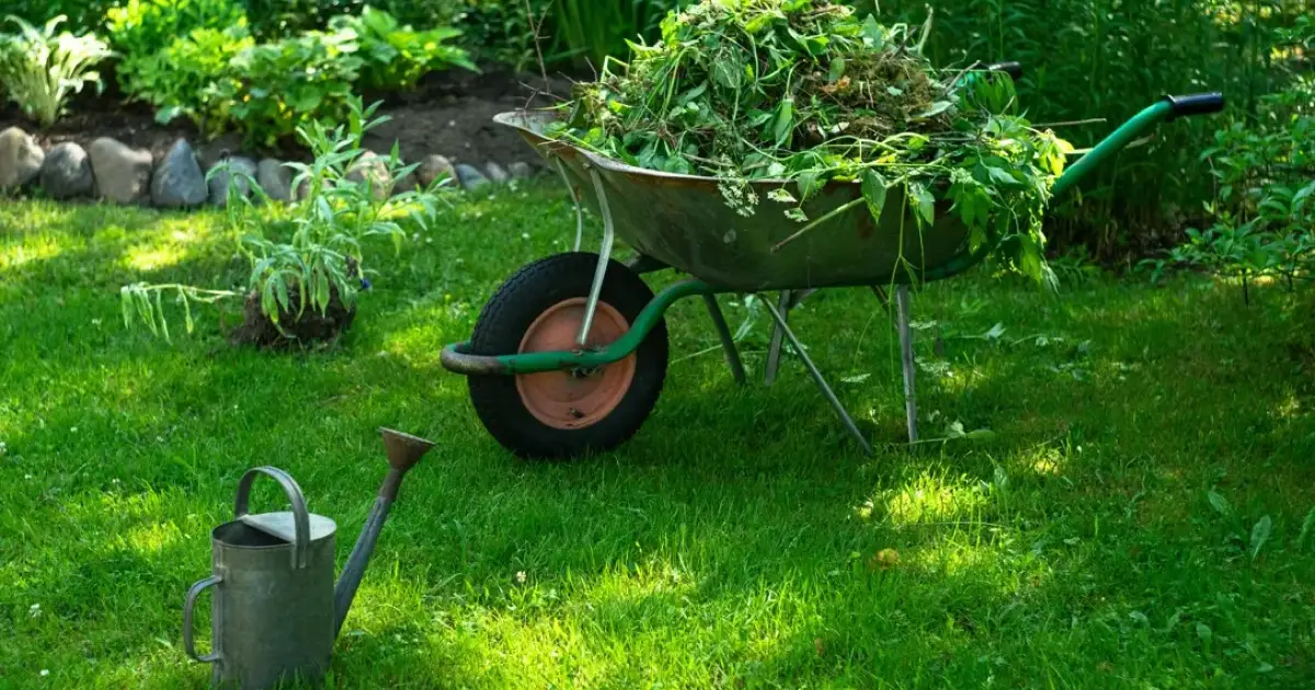 SOS PARCS ET JARDINS